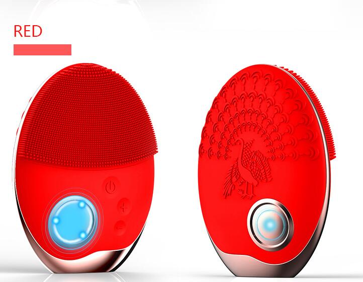 Electric Facial Cleaner
