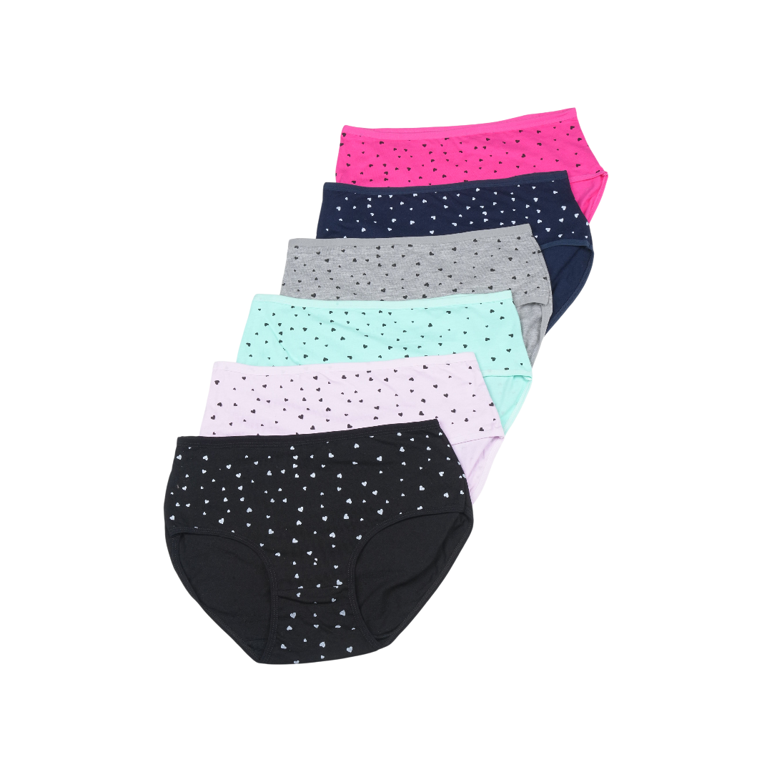 Multi Color Brief Panty Pack Of 6-B221