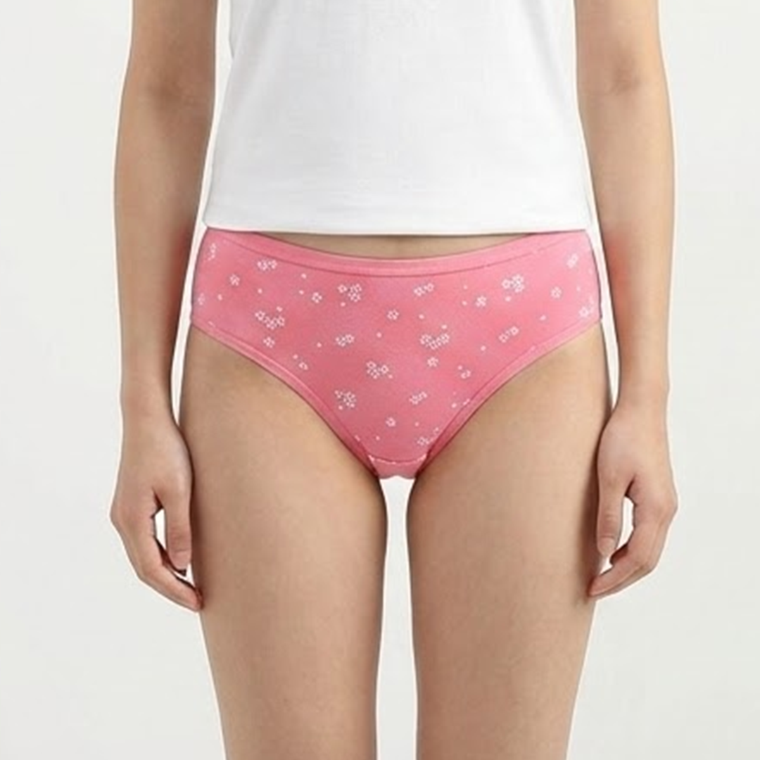 Multi Color Brief Panty Pack Of 6-B227