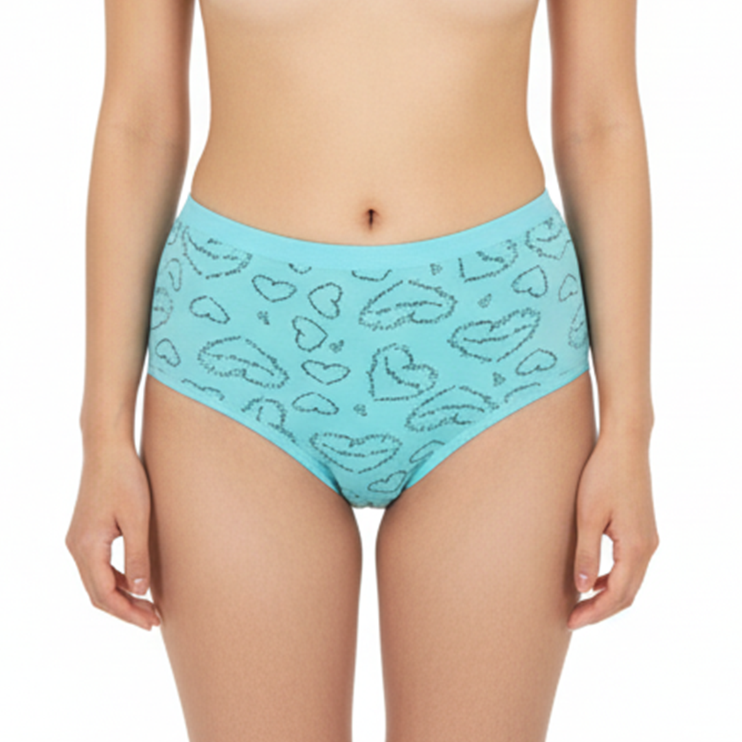 Multi Color Brief Panty Pack Of 6-B240