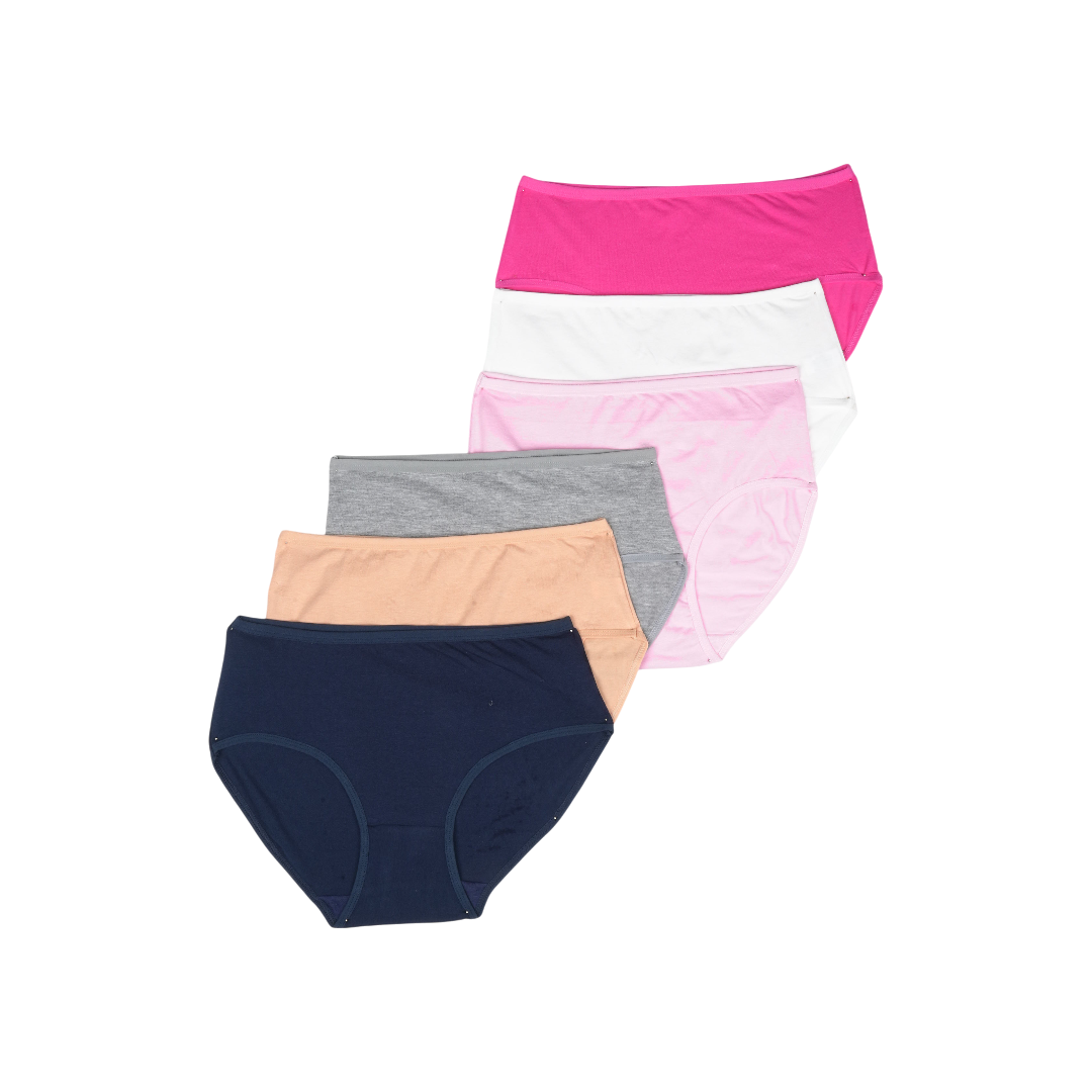 Multi Color Brief Panty Pack Of 6-B241