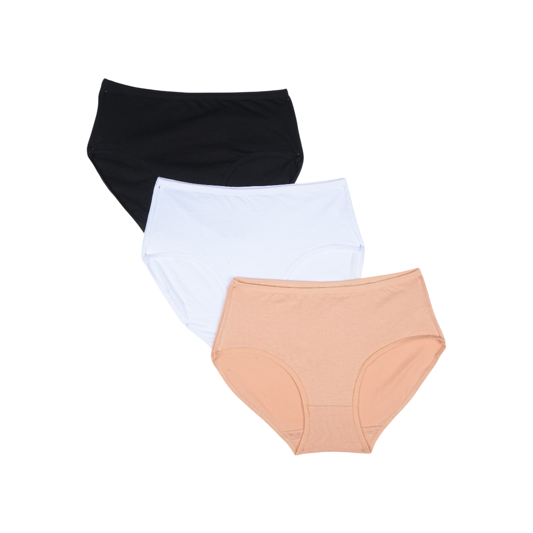 Multi Color Brief Panty Pack Of 3-B253