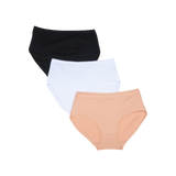 Belleza Lingerie Multi Color Brief Panty Pack Of 3-B253 Belleza Lingerie  