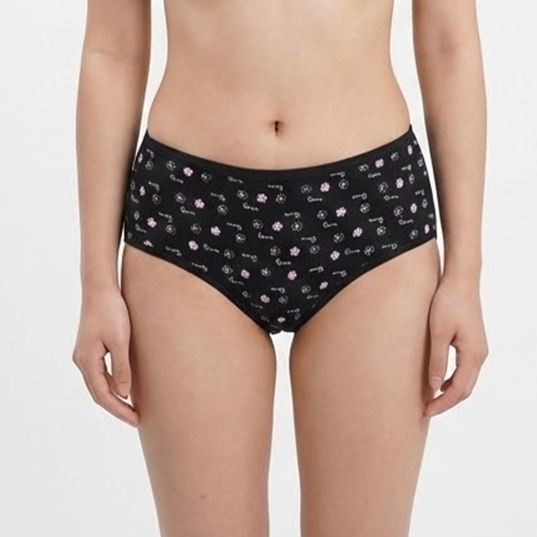 Multi Color Brief Panty Pack Of 6-B256