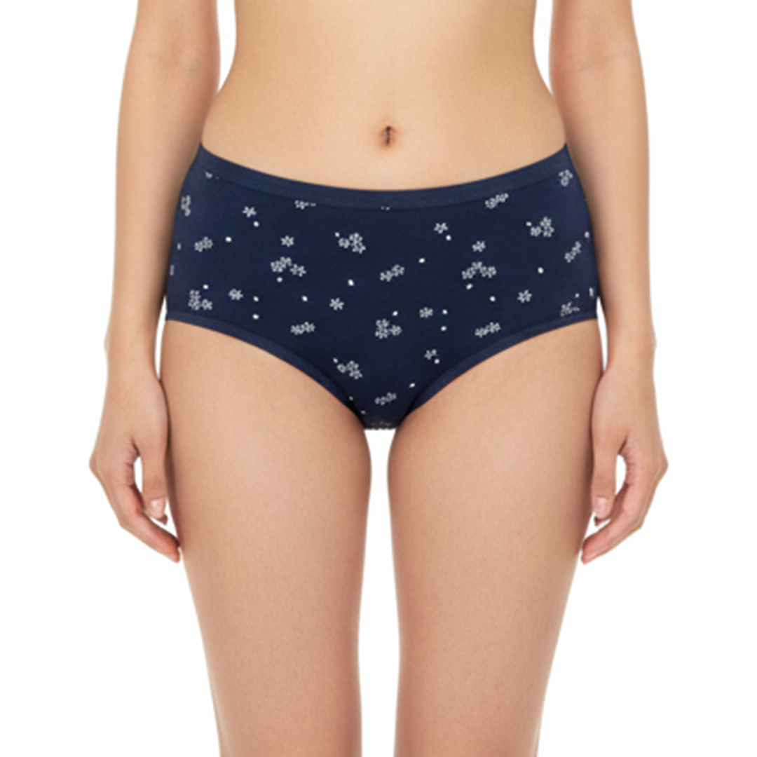 Multi Color Brief Panty Pack Of 6-B259