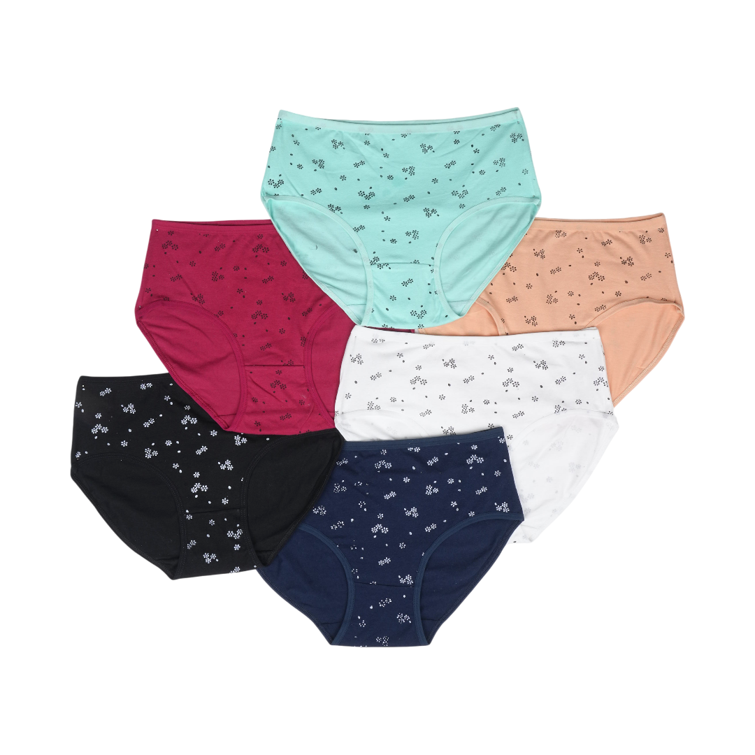 Multi Color Brief Panty Pack Of 6-B259