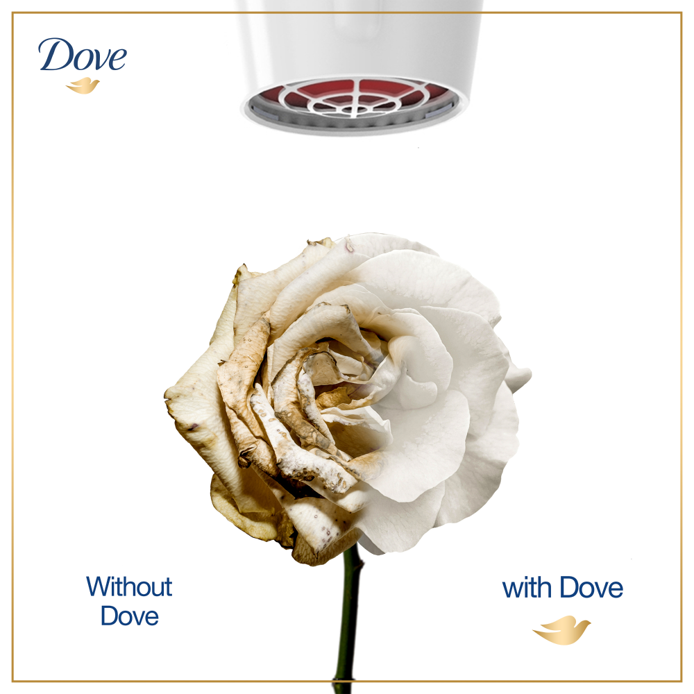 DOVE - INTENSE REPAIR SHAMPOO - 360ML