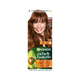 Garnier Color Natural Hair Color 6.34 Garnier  