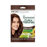 Garnier Color Naturals Permanent Hair Color 5.32 Dark Caramel Brown Sachet Garnier  