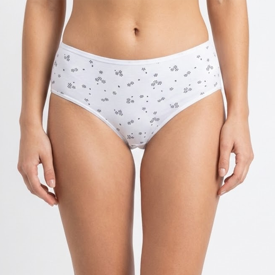 Multi Color Brief Panty Pack Of 6-B227