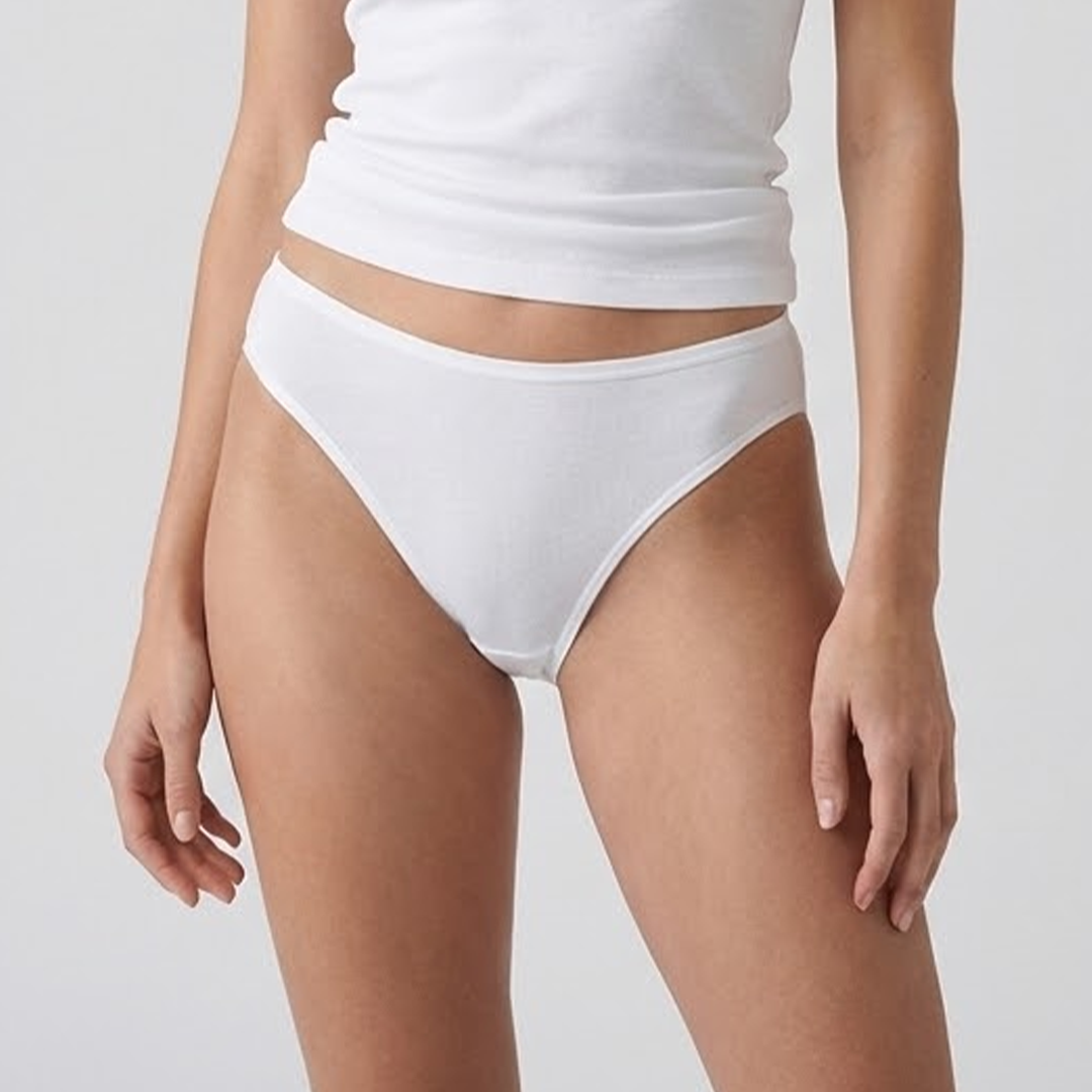Multi Color Brief Panty Pack Of 3-B253