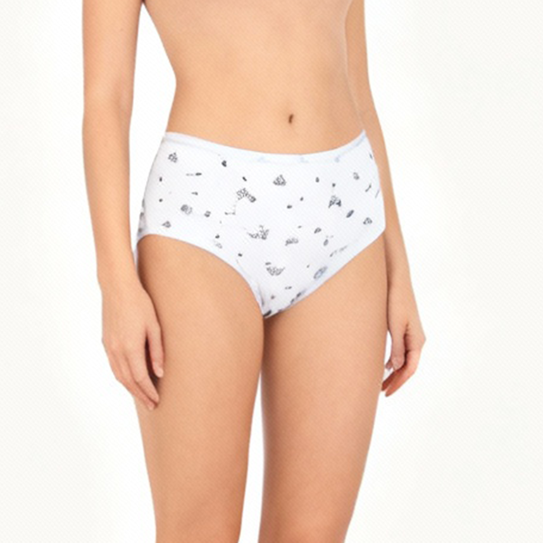 Multi Color Brief Panty Pack Of 6-B259