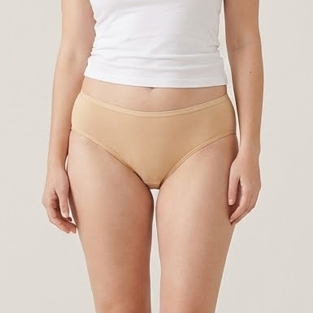 Multi Color Brief Panty Pack Of 6-B237