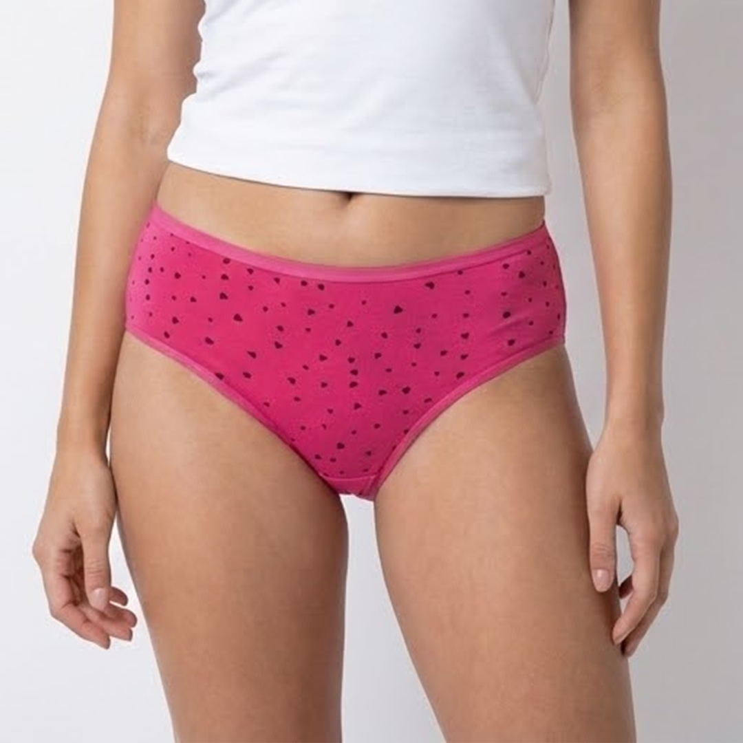 Belleza Lingerie Multi Color Brief Panty Pack Of 6-B221