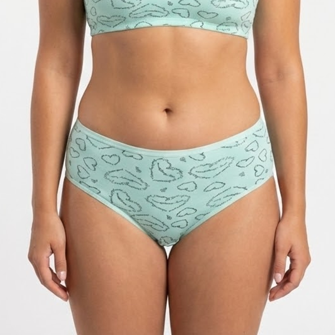 Multi Color Brief Panty Pack Of 6-B240
