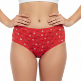Multi Color Brief Panty Pack Of 6-B256 Belleza Lingerie  