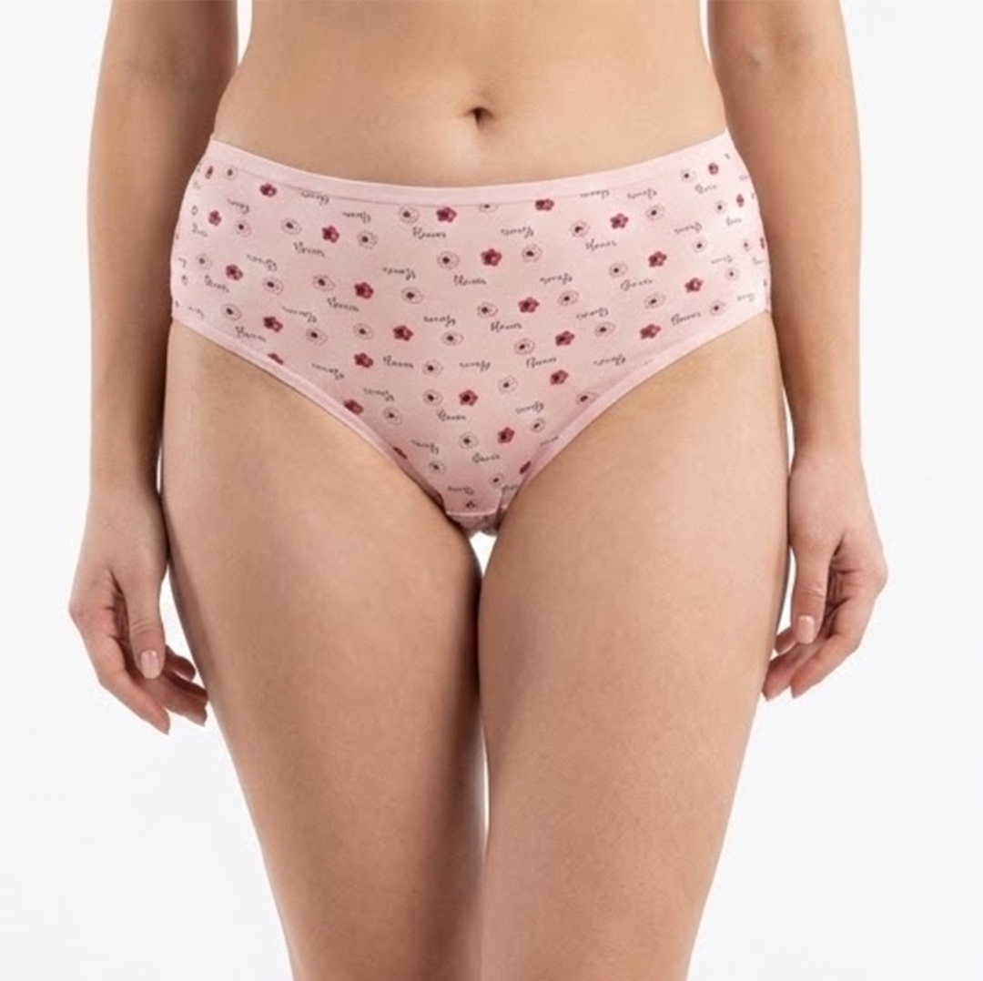 Multi Color Brief Panty Pack Of 6-B256