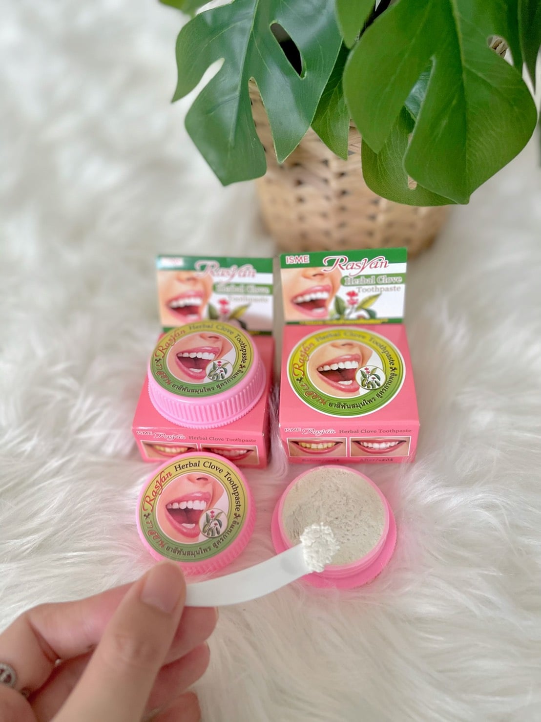 Isme Herbal Clove Tooth Paste 25g